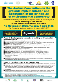 The Aarhus Convetion on the ground: Implementation and adaptation of the principles of environmental democracy