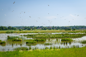 Arnika představila nov&eacute; př&iacute;ležitosti pro rozvoj ř&iacute;čn&iacute; krajiny