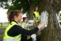 Paint and Protect: Tree-lined avenue near Zásmuky is now safer