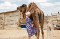 Camels in Mangystau, Kazakhstan. Photo: Majda Slamova/Arnika