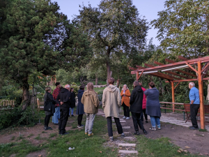Ohl&eacute;dnut&iacute; za debatn&iacute;m večerem o biodiverzitě ve městech