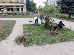 Kosen&iacute; květnat&eacute; louky v z&aacute;kladn&iacute; &scaron;kole Vitae