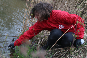 Zneči&scaron;těn&iacute; PFAS se v Hustopeč&iacute;ch nepotvrdilo, Arnika dlouhodobě varuje před riziky zneči&scaron;těn&iacute; věčn&yacute;mi chemik&aacute;liemi