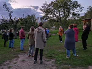 Komentovan&aacute; proch&aacute;zka po komunitn&iacute;ch zahrad&aacute;ch