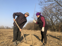 Dobrovolníci v Moldavsku sází stromy podél řek. Podaří se jim obnovit rovnováhu v krajině?