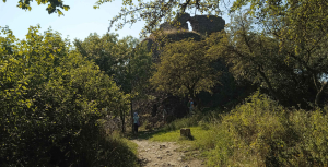 Kompromisn&iacute; n&aacute;vrh nař&iacute;zen&iacute; o obnově př&iacute;rody EU dojedn&aacute;n i d&iacute;ky česk&yacute;m europoslancům