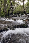 Western Balkans will seek effective protection of its unique and wild rivers in Sarajevo