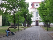 Lípy u Břevnovského kláštera před pokácením