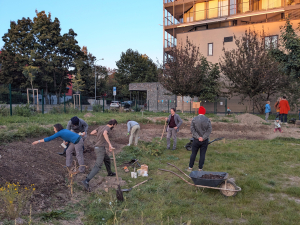 V&yacute;sev květnat&eacute; louky - Žižkovsk&aacute; komunitn&iacute; zahr&aacute;dka