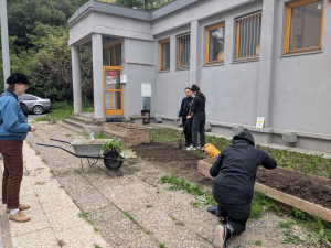 V&yacute;sev květnat&eacute; louky - komunitn&iacute; zahrada u KC Jako Doma