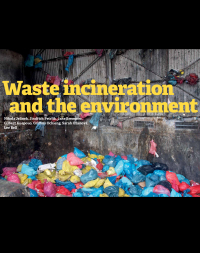 Waste Incineration and the Environment
