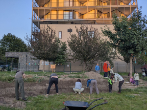 Arnika pom&aacute;h&aacute; Praze rozkv&eacute;st: vysela květnat&eacute; louky na sedmi komunitn&iacute;ch zahrad&aacute;ch, dal&scaron;&iacute; vznikne u Nuselsk&yacute;ch schodů