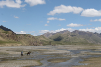 Global responsibility, local consequences. How does climate change impact Kazakhstan?