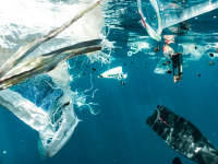 Chemical industry hijacks fourth international meeting on reducing plastic pollution