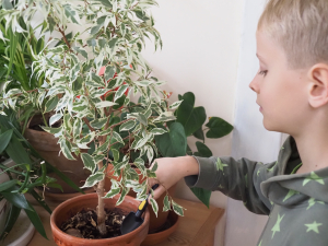 V plastov&yacute;ch v&yacute;robc&iacute;ch na zahradu a do dom&aacute;cnosti odhalil průzkum stopy l&aacute;tek nebezpečn&yacute;ch pro hormon&aacute;ln&iacute; syst&eacute;m